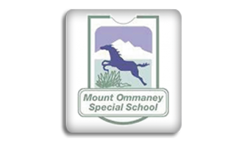 Mount Ommaney School